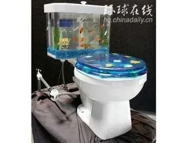 点击查看图片 点击查看图片