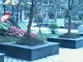 �����