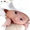 ����˵��