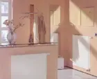 ���콢���Ƶ�����ԡ