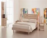 ���ִ��챨����������μ�˹�����װ��