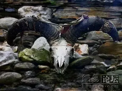 ʵ�ı������봨����ǰ���ͼƬ