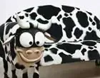 ������ָ��ԼҾ�