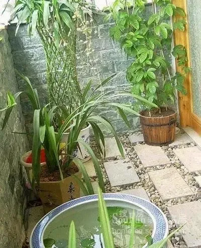 绿色满屋 让人一见倾心的木质原生态之家 绿色满屋 让人一见倾心的木质原生态之家