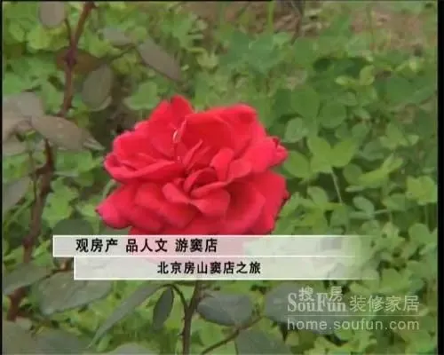 CETV-1《居家风尚》7月5日节目内容预告 CETV-1《居家风尚》7月5日节目内容预告