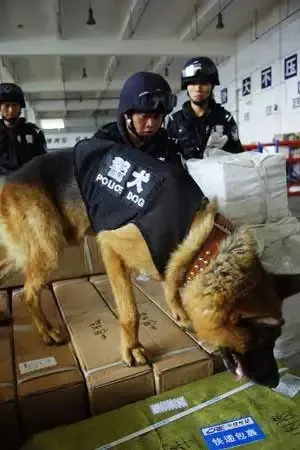 点击查看图片 点击查看图片