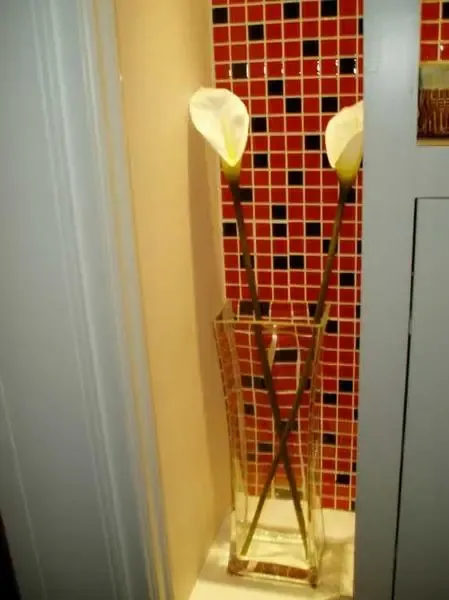 ���ɲ�����������Ƶ�88ƺ�ļ��ʱ������