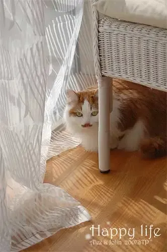 2�����65ƺС�� ������ۼ��ʱ�м�Լ���