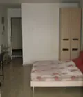 ��Ӷ��ַ�