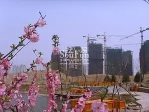 ˮ������