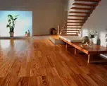 ��ɭ�֣��ذ���ҵҪ��ǿ ����Ҫ�ºݹ���