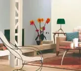 ������ɫ