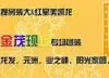 金茂现场户型点评