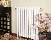 ʥ�����ɢ����Ƭͷʽ˫��ϵ��SGBP-1/067-1.0