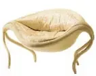 �������ص�ɳ��