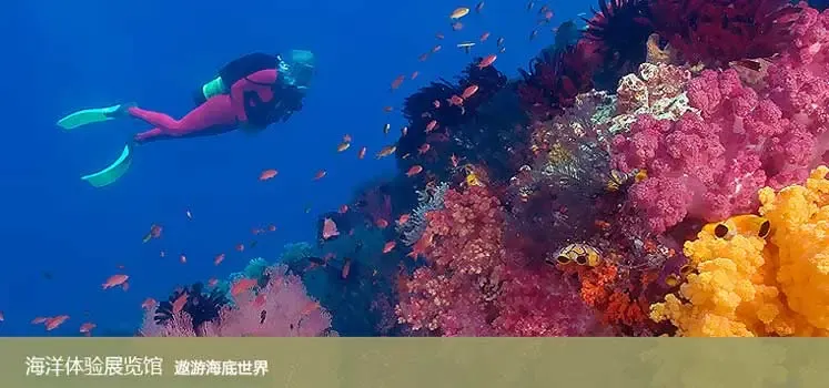 �ž��ֺ�����ˮ��