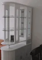 ˮī����װ��ż��