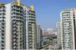 �ز����ڰ�:¥�и��°�������