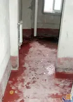 ����Ҷ�ӣ�װ�޿�����
