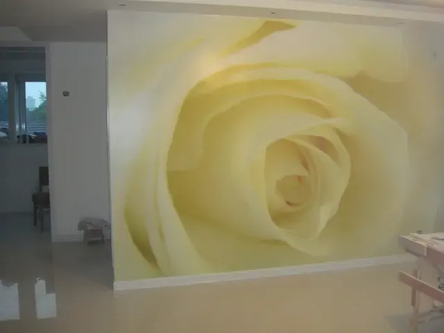Ư����õ���ֽ