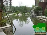 �ڿ���魳�