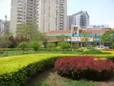 �����³�