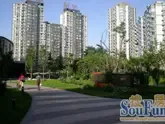 UHN���ʴ�