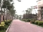 ���ù���