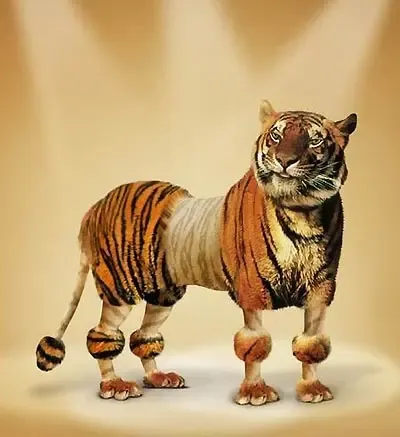 ͼƬ��������´��ڴ򿪲鿴