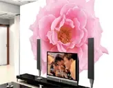 ������ֽ����ǽ��LV013