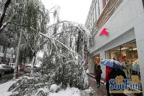 �����ѩϮ���� ��������ľ������(��ͼ)
