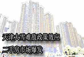��ѩ�ѵ�����ЧӦ ���ַ��г�����