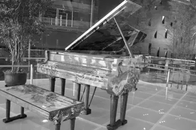 世界最贵艺术钢琴亮相世博会 万达出资打造-土