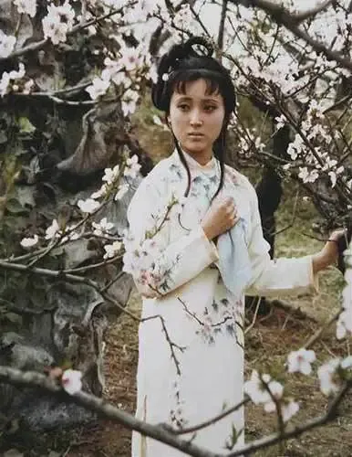 <em>张玉嬿</em>演台版<em>林</em>黛玉 各版娇美林黛玉比拼(组