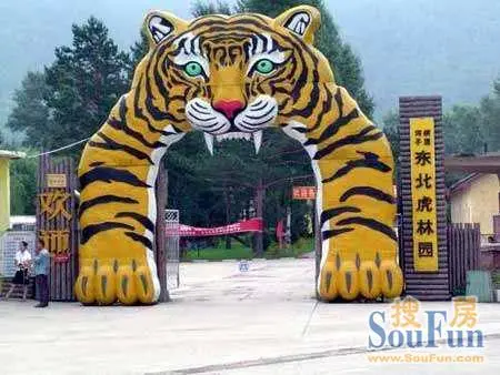 体验东方小巴黎动人魅力 十二处景点玩遍哈尔