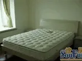 ���Ʊ���
