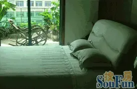 ���ʲ���Ժ