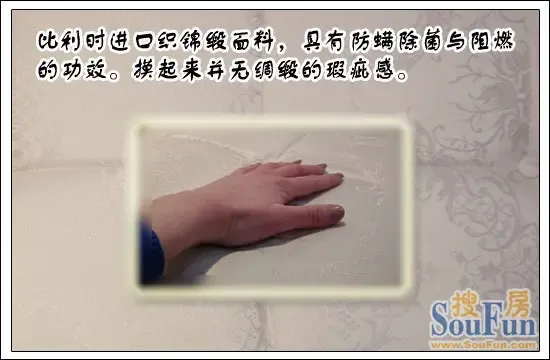 斯林百兰 织锦缎面料 斯林百兰 织锦缎面料