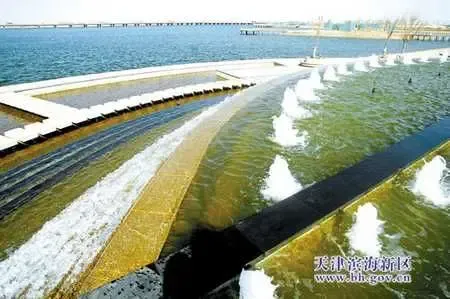 天津滨海海洋高新区造湖修岛 金海湖公园初步