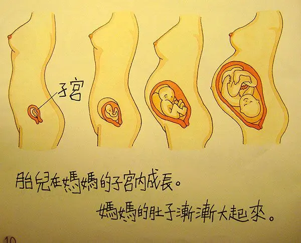 幼儿性教育绘本"我从哪里来"尺度这么大 孩子能受的了
