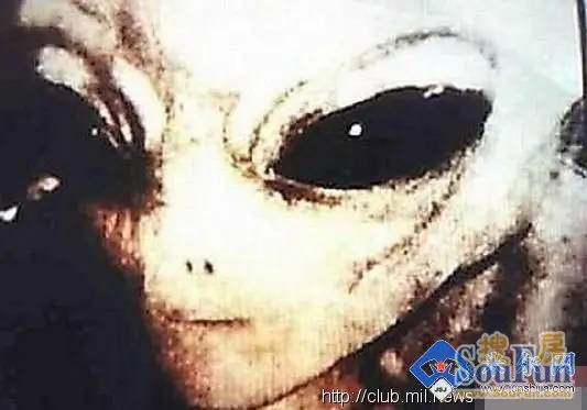 【悬疑】真实的外星人解密照片组图,【悬疑】真实的