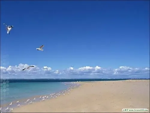 中国最美十大海滨城市排名出炉 港城位居第三