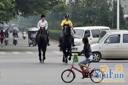史上最牛女秘书+陪老板骑马上班两年风雨无阻