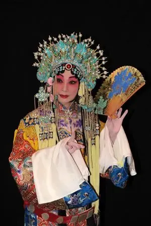 伟峰实业9年华彩 对话《梅华香韵》国粹艺术|搜