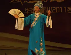 歌手深情演唱 歌手深情演唱 京剧表演 吴凤花越剧清唱《九斤姑娘》