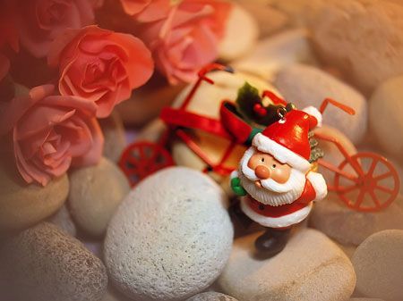 2011圣诞节到了 浪漫温馨祝福语短信大全(图)