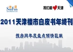 2011天津白皮书年终刊