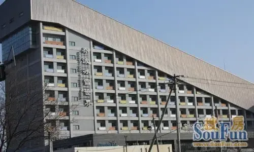 ��ѩ��