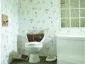 不容小窥的卫生间风水