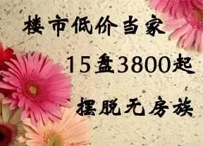 新房频道